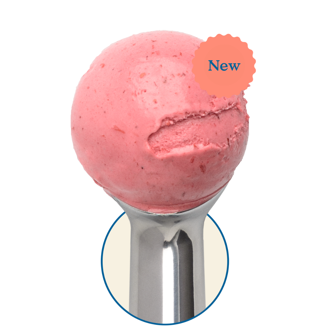 Sea Change Prairie Fairy Sorbet Pint