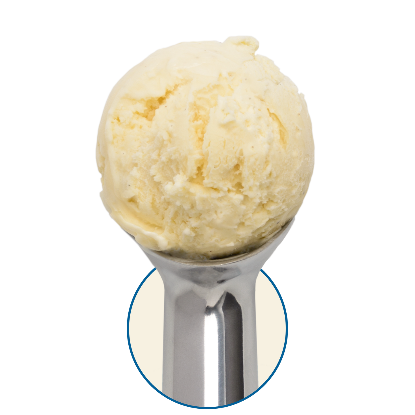 Tahitian Vanilla Bean Pint
